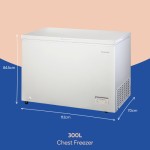 Freezer Dada Berdiri Russell Hobbs, 300 Liter, Kebisingan Rendah, Brankas Garasi,